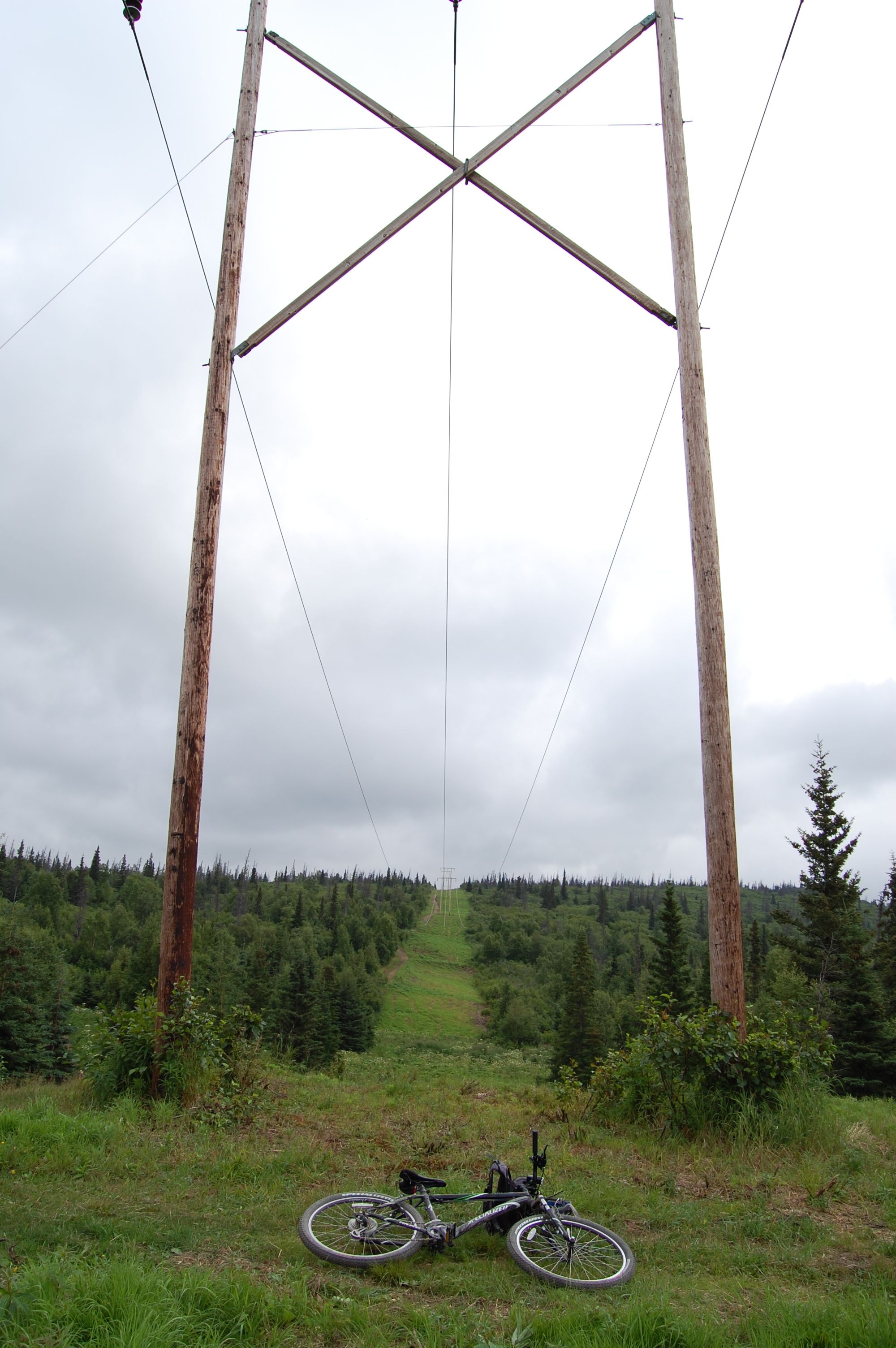 DSC_1310.JPG