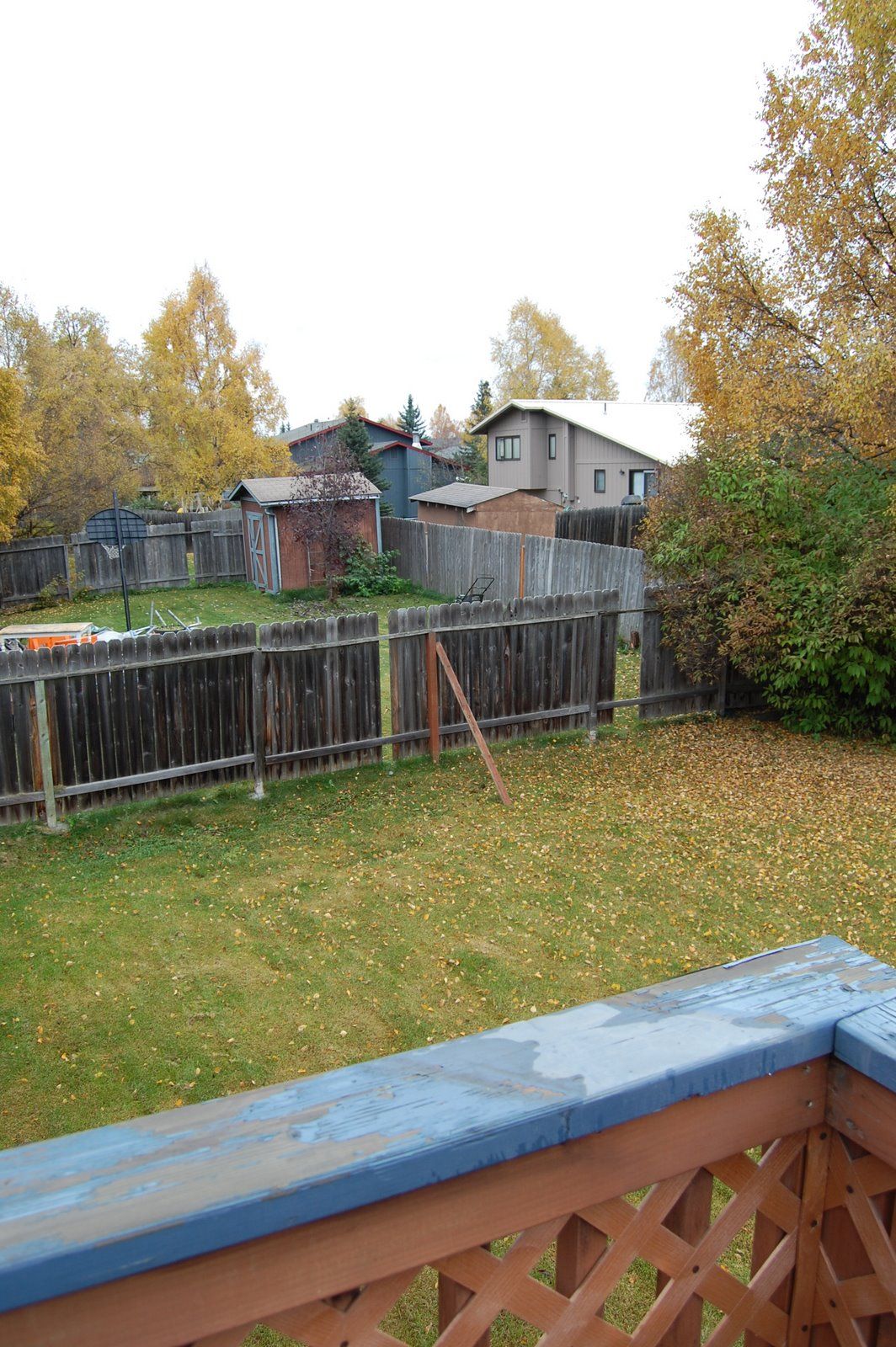 DSC_0889.JPG