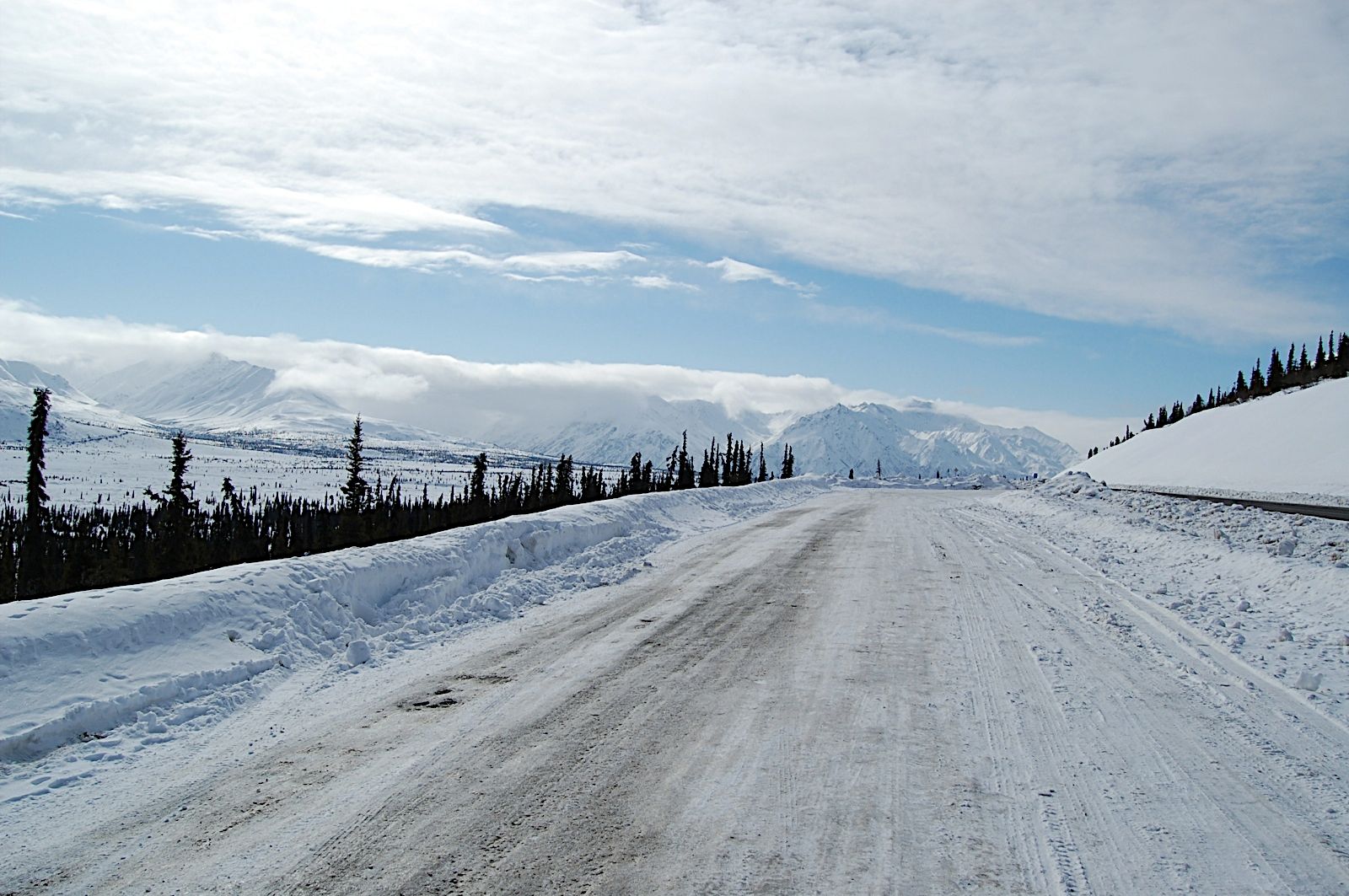 Alaskan Spring