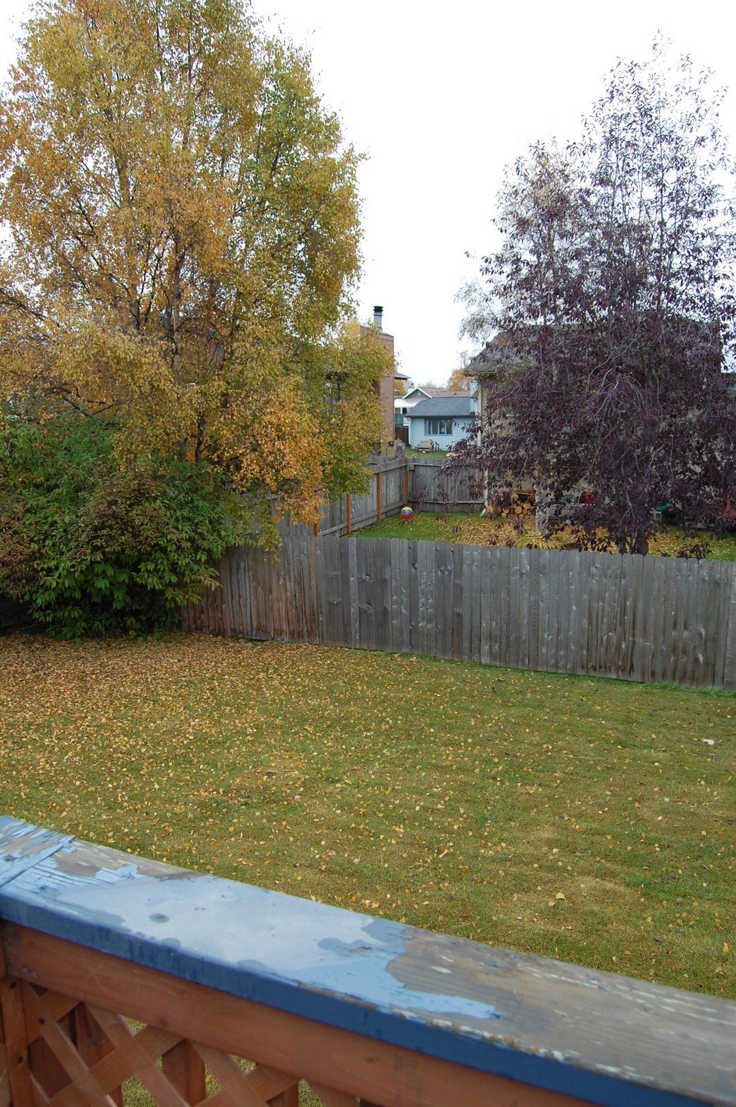 DSC_0890.JPG