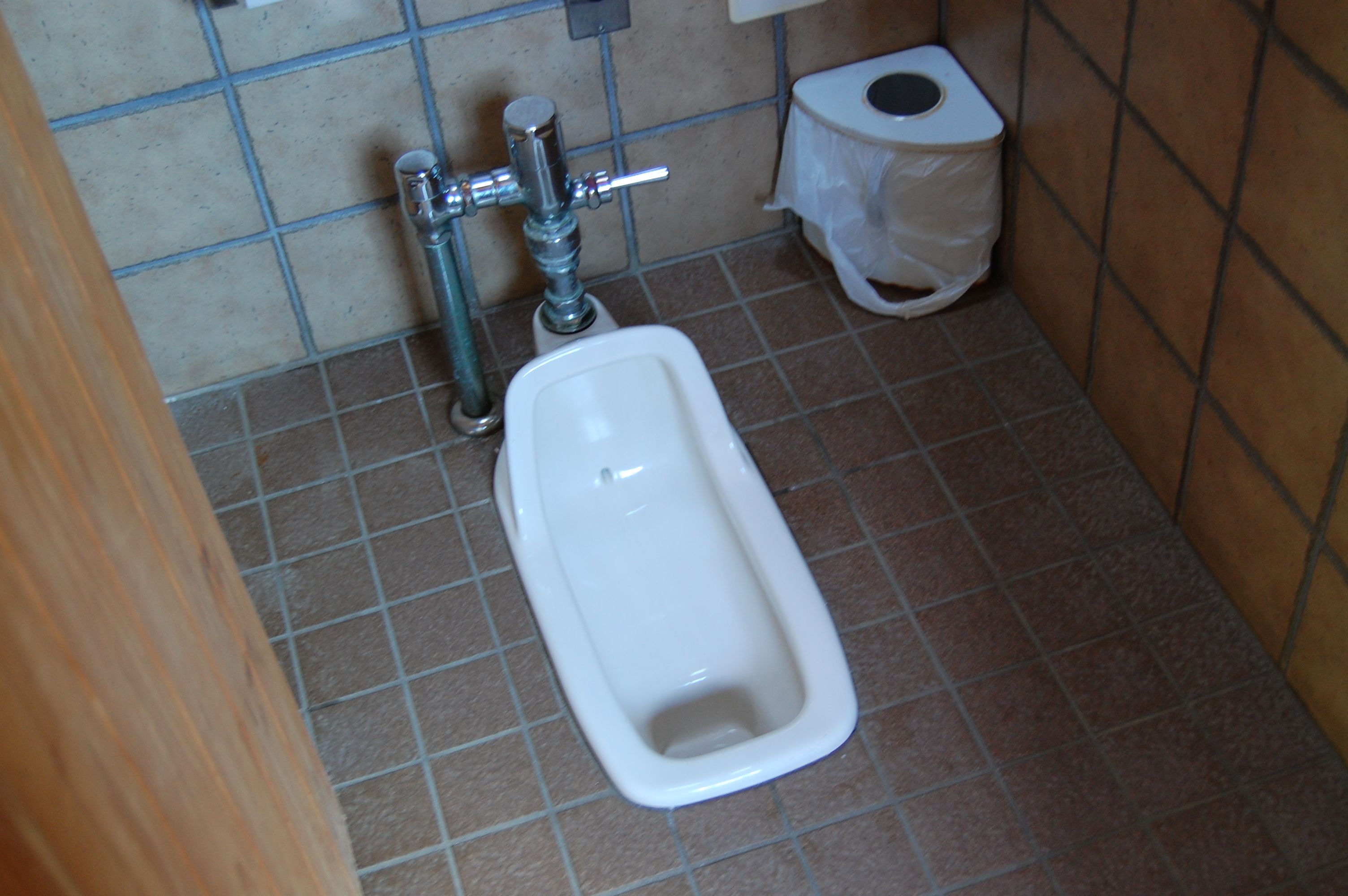 Japanese Toilet